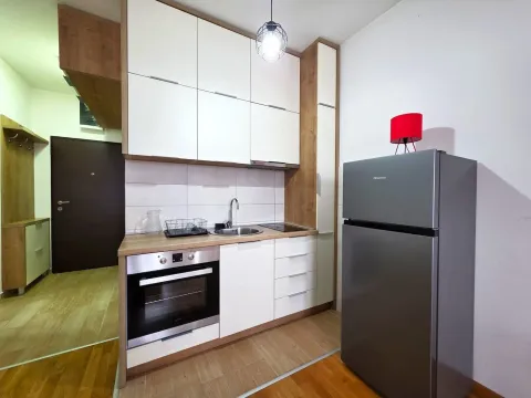 Rent, apartment, 30m², Stari Aerodrom, Podgorica - image 5