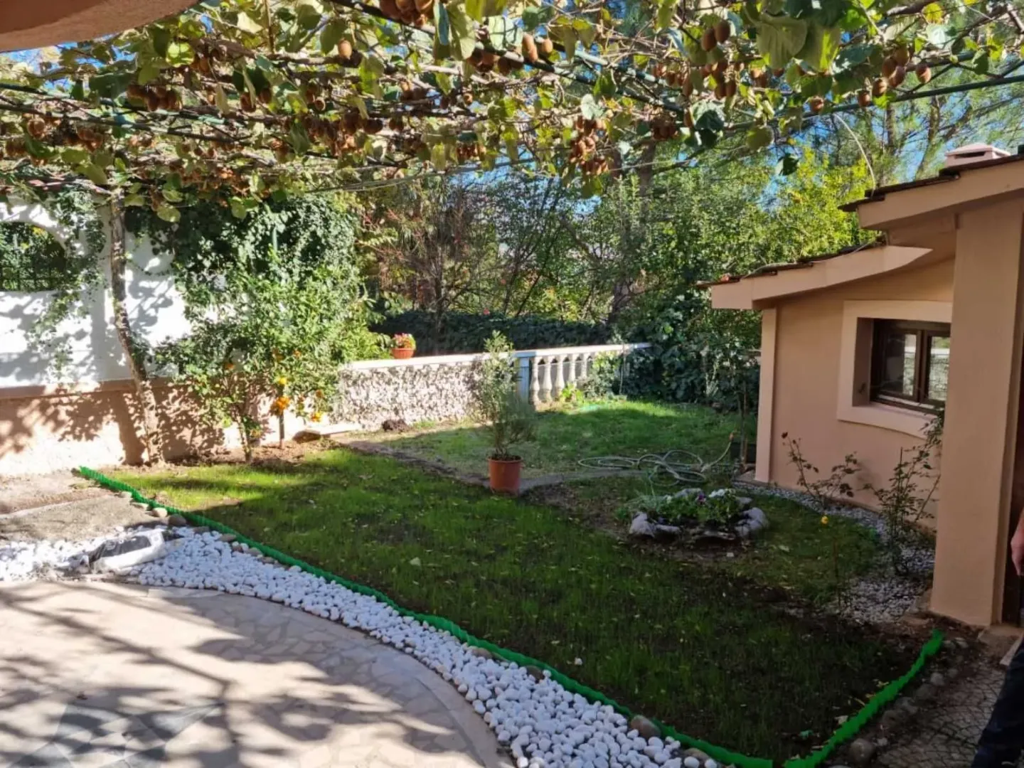 Landscaped yard with a lawn, decorative stones, and vines.