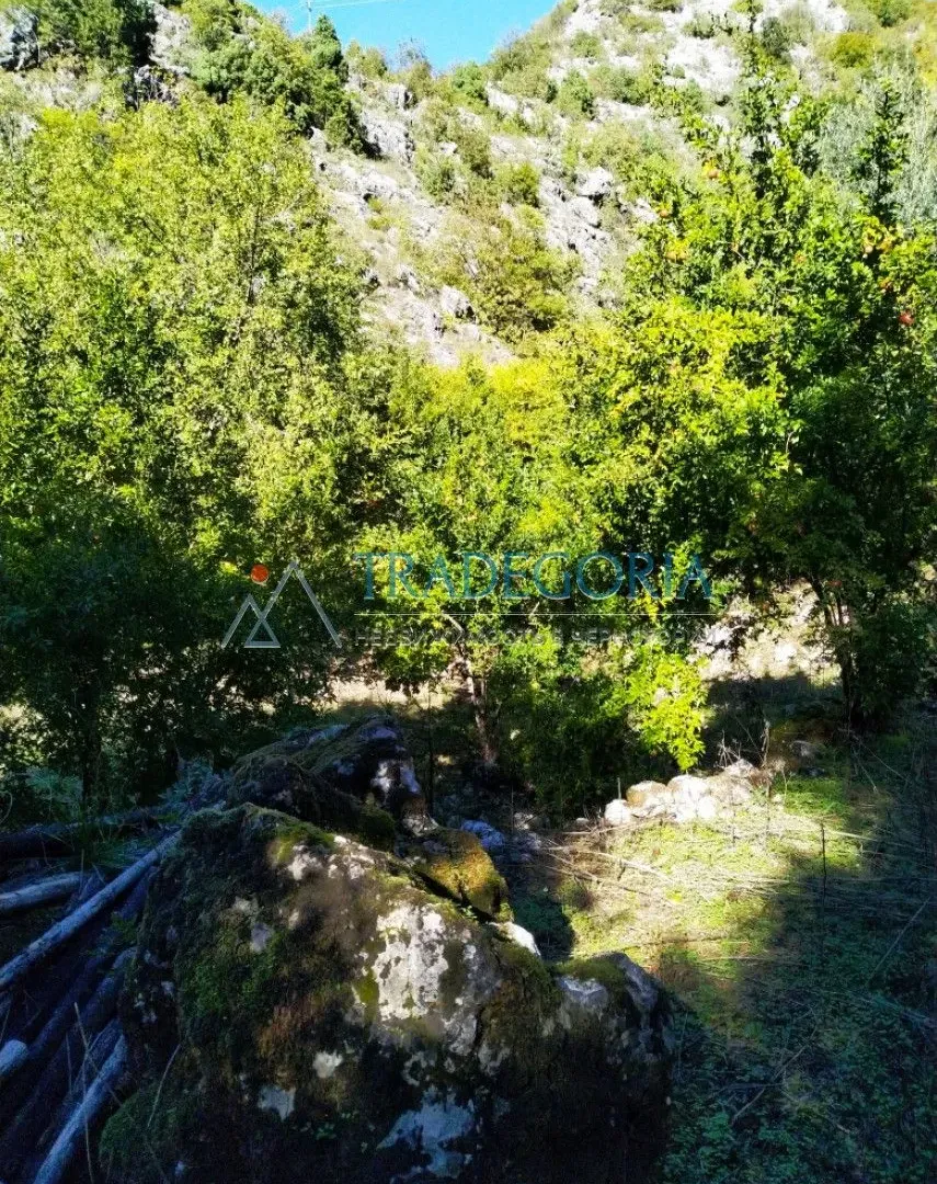 Prodaja, kuća, 210m², Podgorica, Crna Gora