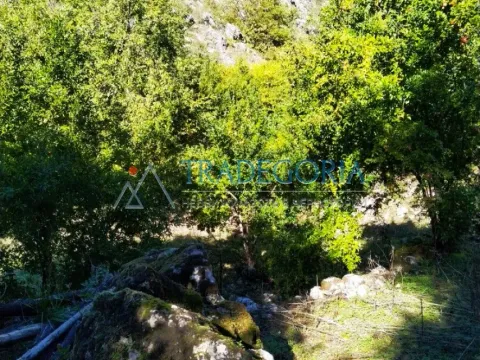 Prodaja, kuća, 210m², Podgorica, Crna Gora - image 12