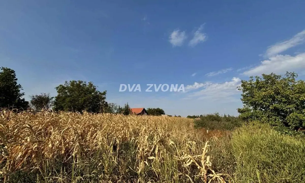 Sale, land lot, 1100m², Čortanovci, Inđija