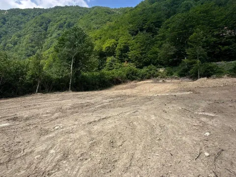 Prodaja, plac, 3239m², Moračko Trebaljevo, Kolašin - image 4