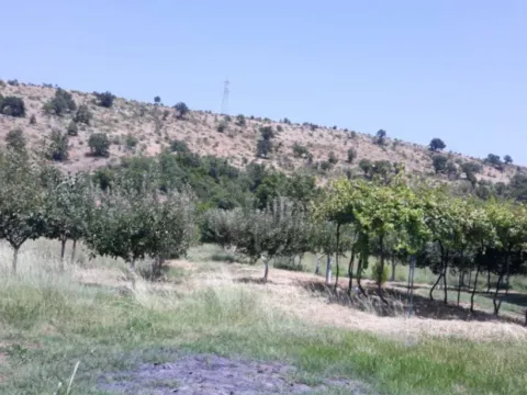 Sale, house, 212m², Martinići, Danilovgrad - image 4