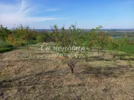 Sale, land lot, Novi Slankamen, Inđija - image 3