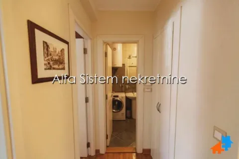 Izdavanje, dvosoban stan, 48m², Čubura, Beograd - image 12