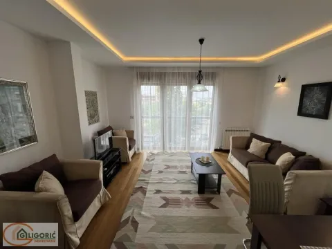 Izdavanje, dvosoban stan, 45m², Zvezdara Sve Podlokacije, Beograd - image 2