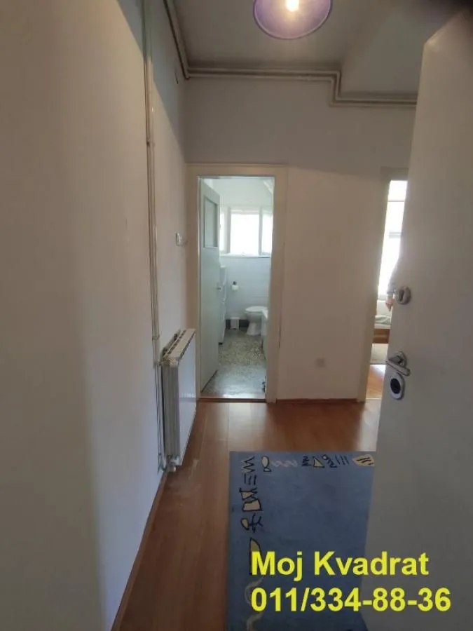 Izdavanje, jednosoban stan, 46m², Profesorska Kolonija, Palilula Sve Podlokacije