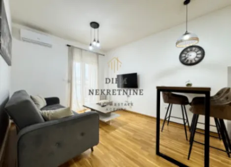 Izdavanje, jednosoban stan, 40m², Zabjelo, Podgorica - image 10