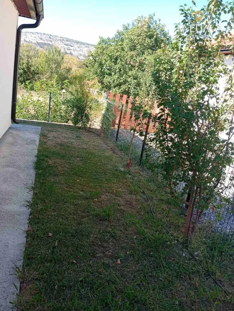 Green yard with a lawn and fence around the house.