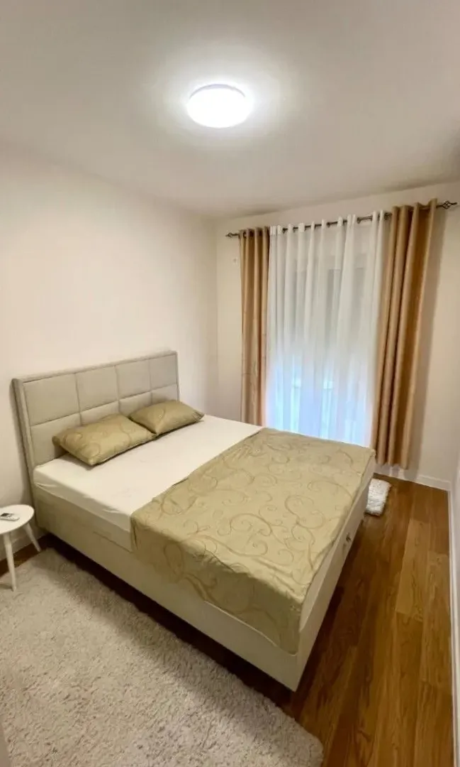 Rent, one bedroom apartment, 47m², Central Point, Podgorica