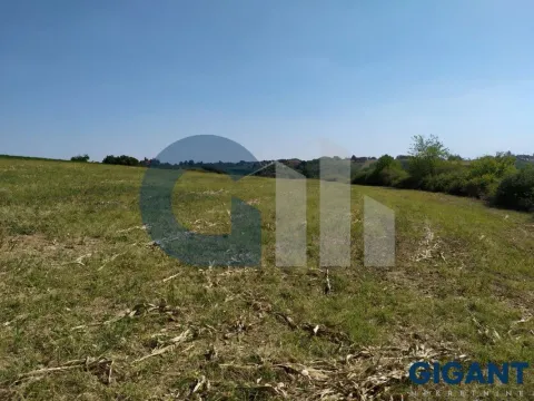 Prodaja, plac, 5000m², Nenadovac, Barajevo - image 14