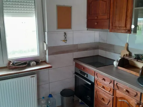 Prodaja, poslovni prostor, 450m², Čerević, Beočin - image 12