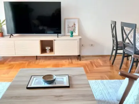 Rent, one bedroom apartment, 54m², Vezirov Most, Podgorica - image 2