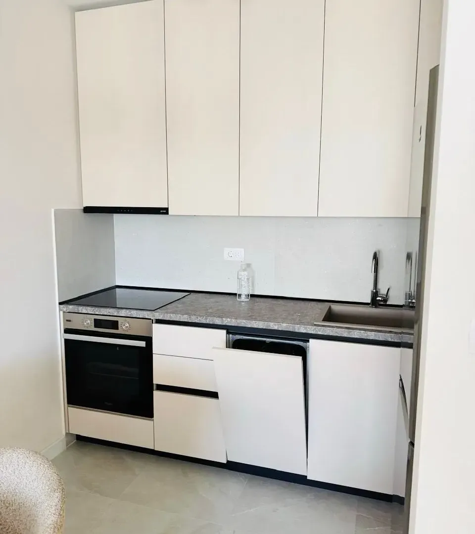 Izdavanje, jednosoban stan, 48m², Central Point, Podgorica