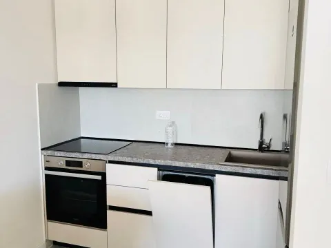 Izdavanje, jednosoban stan, 48m², Central Point, Podgorica - image 5