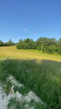Pogled na zelenu livadu i šumu na placu. - image 6