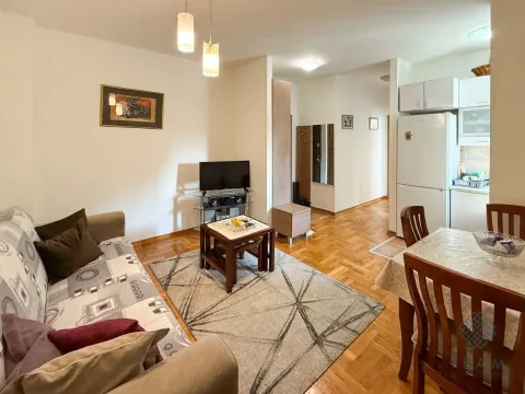 Izdavanje, jednosoban stan, 30m², Zabjelo, Podgorica - image 2