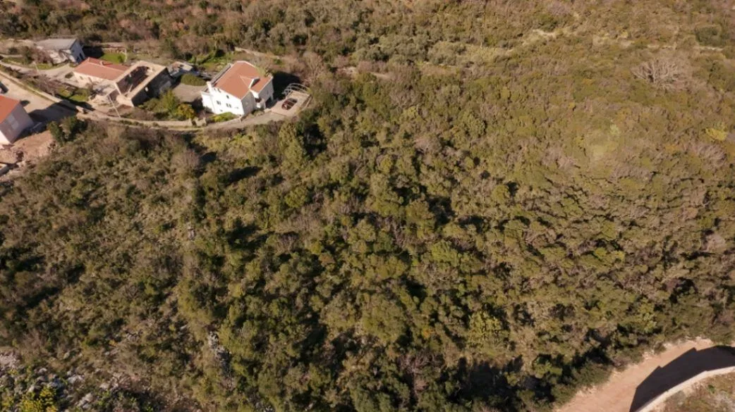 Sale, land lot, 14000m², Dobre Vode, Bar