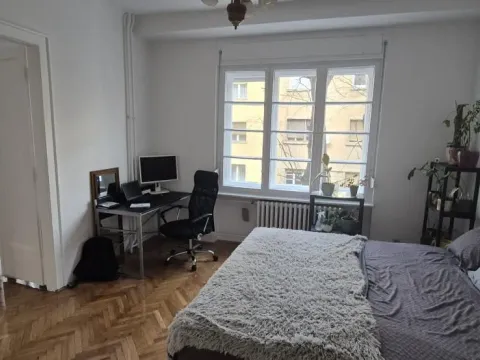 Sale, two bedroom apartment, 56m², Centar, Novi Sad - image 4