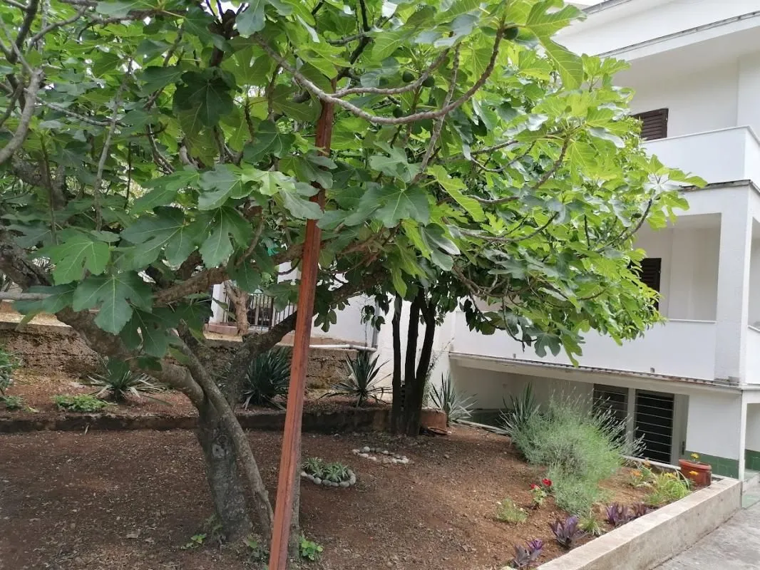 Sale, house, 196m², Utjeha, Ulcinj