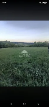 Zelena livada sa drvećem u pozadini. - image 2