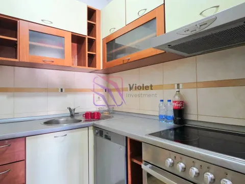 Izdavanje, jednosoban stan, 55m², Preko Morače, Podgorica - image 8