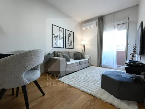 Rent, one bedroom apartment, 40m², Central Point, Podgorica - image 2