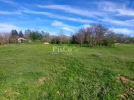 Sale, land lot, 6077m², Miločani, Nikšić - image 4