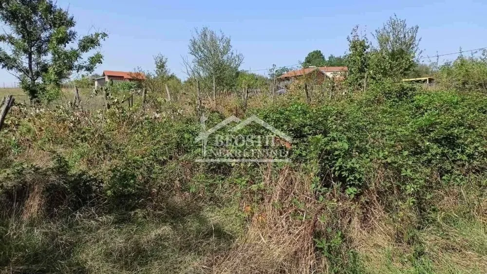 Pogled na neuređeni plac sa rastinjem i drvećem u pozadini.
