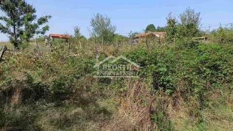 Pogled na neuređeni plac sa rastinjem i drvećem u pozadini. - image 7