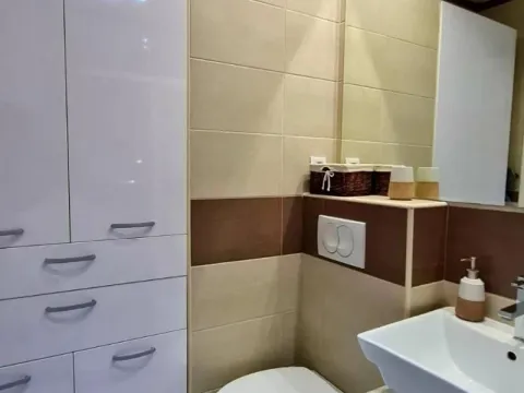 Sale, one bedroom apartment, 42m², Novi Beograd Blok 61, Novi Beograd Sve Podlokacije - image 8