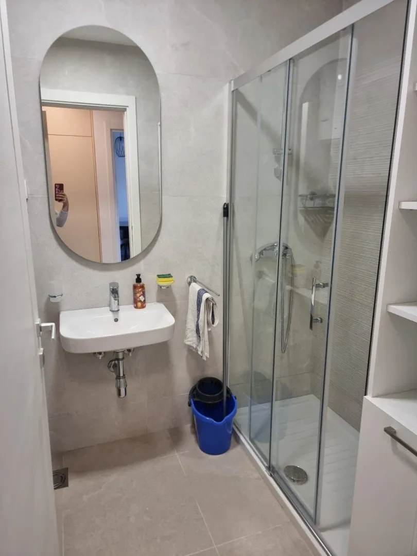 Modern bathroom with a sink, mirror, and walk-in shower.