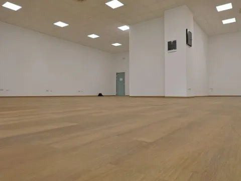 Izdavanje, poslovni prostor, 273m², Zabjelo, Podgorica - image 4