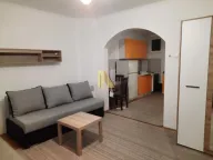 Rent, studio apartment, 30m², Bulevar Oslobodjenja, Novi Sad Sve Podlokacije