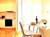 Izdavanje, garsonjera, 30m², Tuški Put, Podgorica - image 9