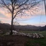 Izdavanje, kuća, 247m², Cetinje, Crna Gora - image 18