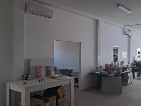 Izdavanje, poslovni prostor, 400m², Altina, Beograd - image 3