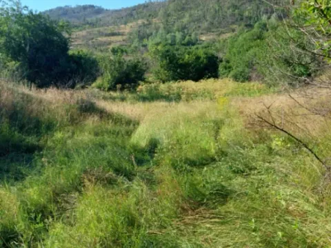 Prodaja, plac, 480000m², Brestice, Nikšić - image 6