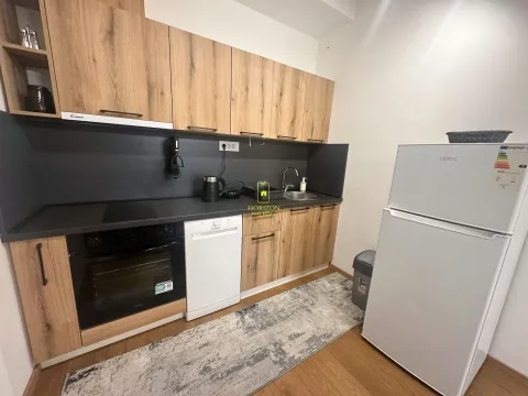 Rent, one bedroom apartment, 59m², Stara Varoš, Podgorica - image 7