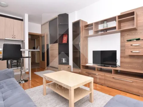 Izdavanje, garsonjera, 30m², Tuški Put, Podgorica - image 2