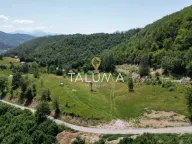 Sale, land lot, 11000m², Drijenak, Kolašin - image 4