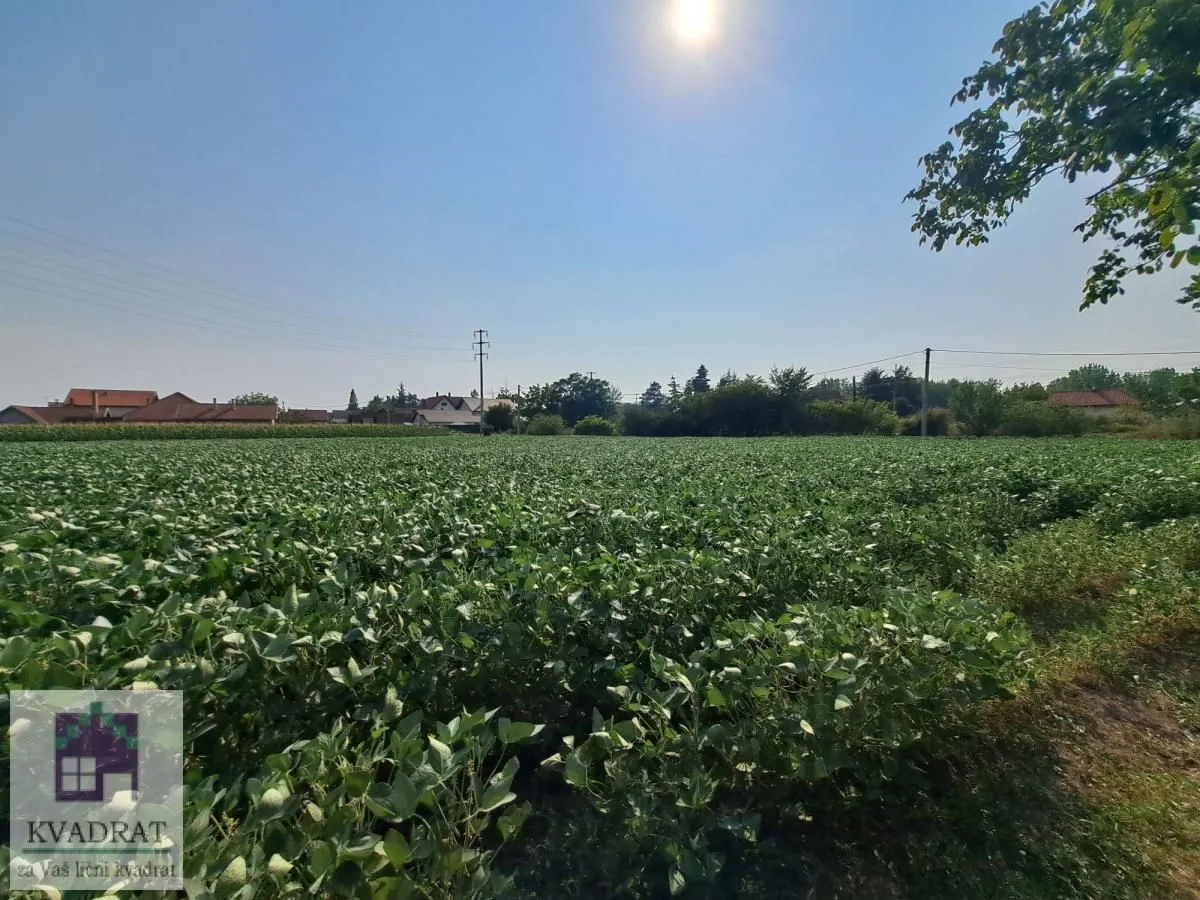 Sale, house, 150m², Obrenovac, Beograd
