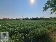 Prodaja, kuća, 150m², Obrenovac, Beograd - image 9