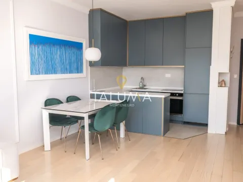 Izdavanje, jednosoban stan, 47m², Centar, Podgorica - image 3