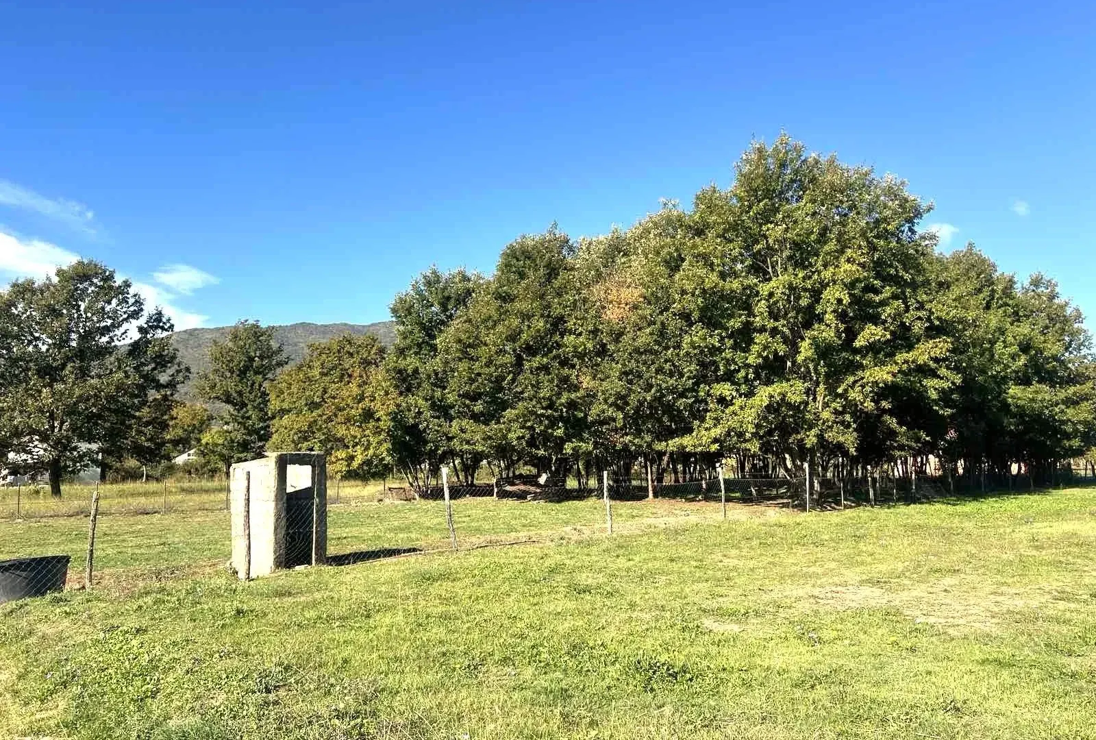 Prodaja, plac, 1258m², Ćurilac, Danilovgrad