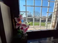 Izdavanje, kuća, 240m², Banovo Brdo, Beograd - image 7