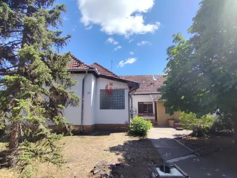 Prodaja, kuća, 880m², Bački Vinogradi, Subotica - image 3