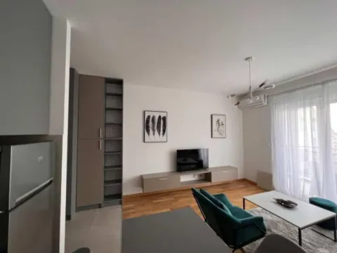 Izdavanje, garsonjera, 32m², Ljubović, Podgorica - image 5