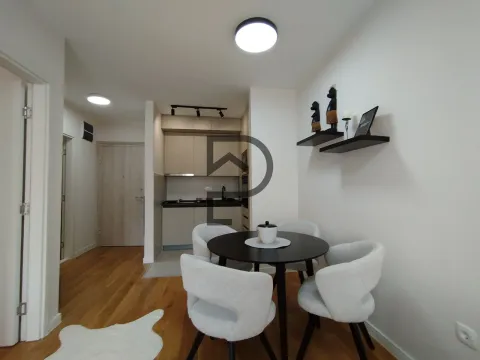 Izdavanje, jednosoban stan, 40m², Central Point, Podgorica - image 3