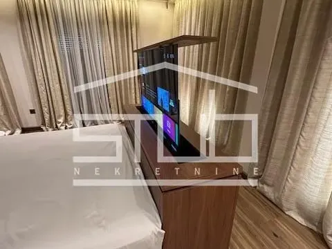 Izdavanje, stan, 350m², Južni Bulevar, Vračar Sve Podlokacije - image 5